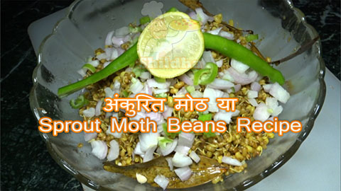 sprout moth youtube hindi